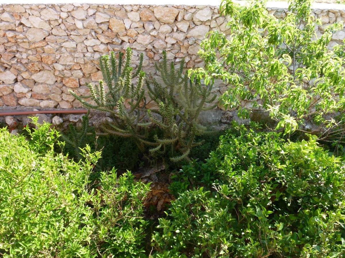 Marinos Lourdata (Kefalonia)